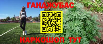 индика Кинель
