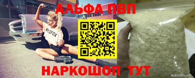 крисы Кингисепп