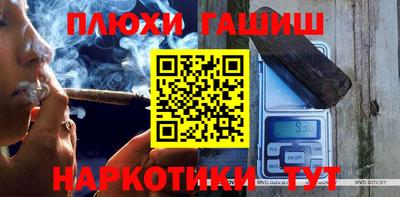 крисы Кингисепп