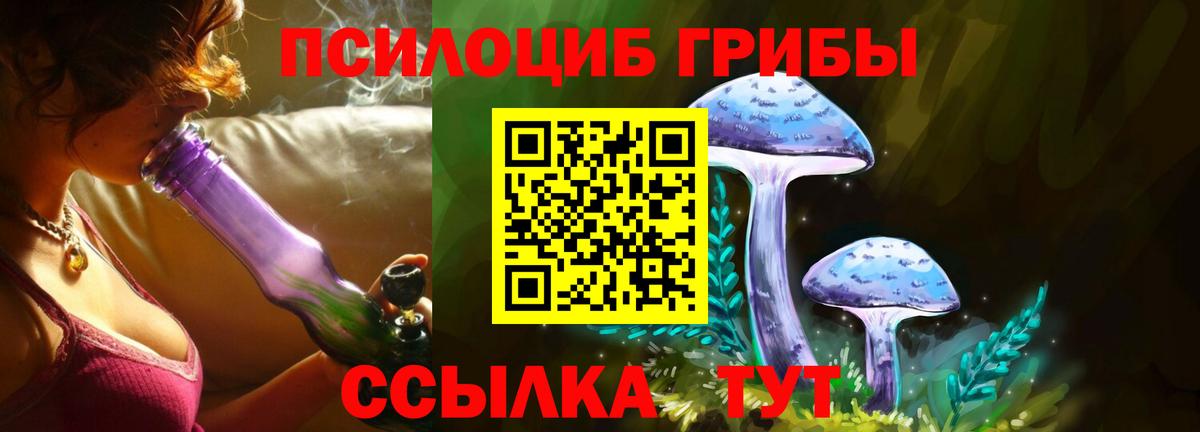 Галлюциногенные грибы MAGIC MUSHROOMS Углич